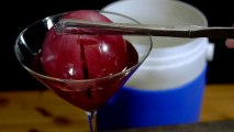 How to Make Edible Ice Spheres With Cryogenic Liquid