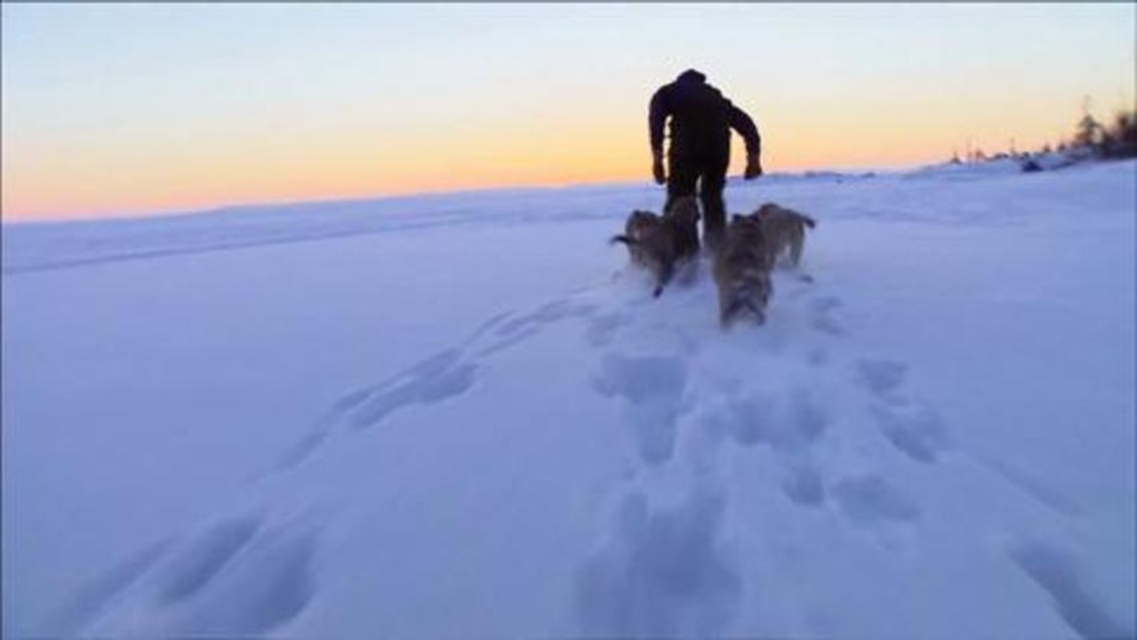 Die Familie mit den Schlittenhunden - Trailer (Deutsch) HD
