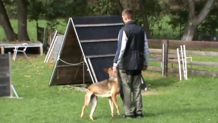 Be Aware Dope IPO1 Obedience