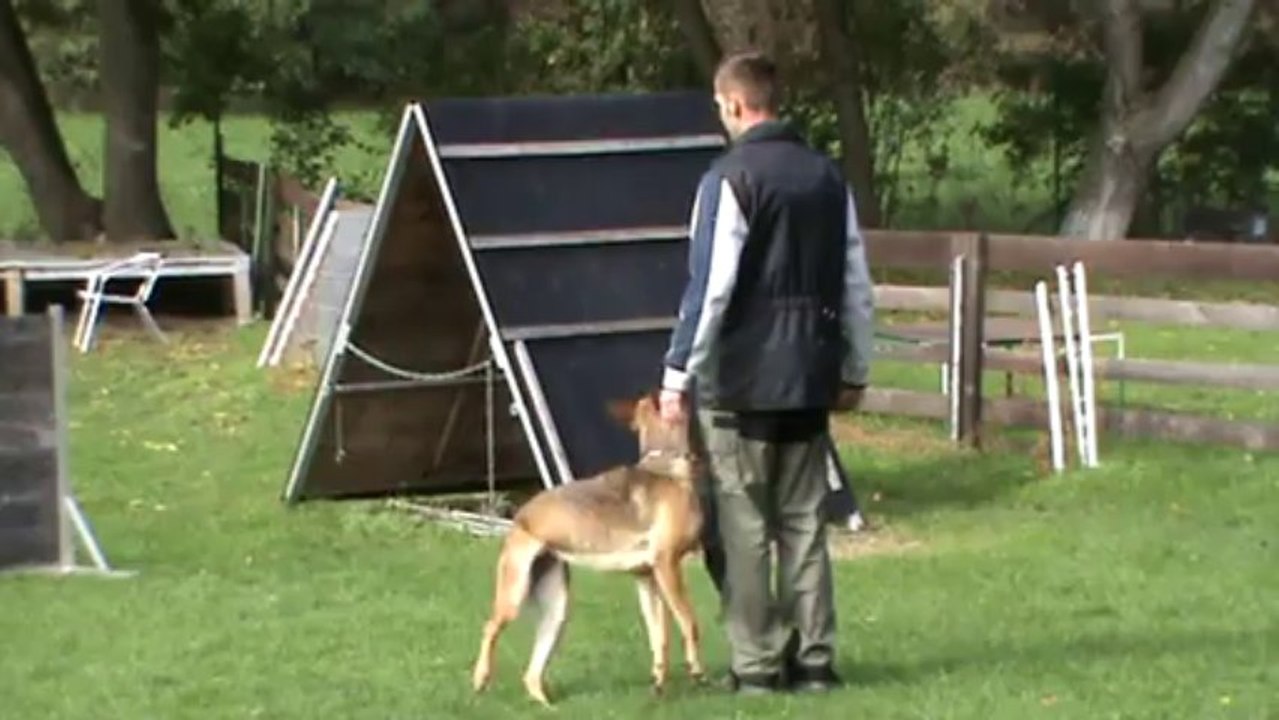 Be Aware Dope IPO1 Obedience