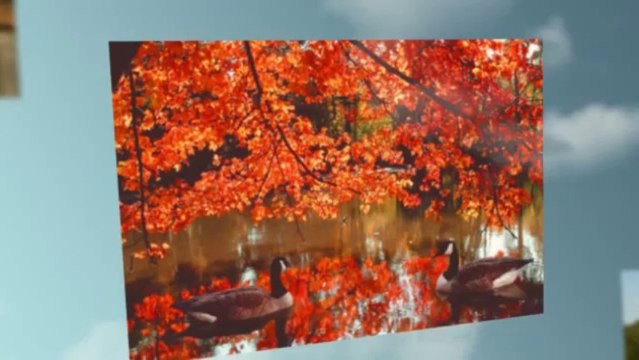 Hidden Lakes Apartments in Greensboro, NC Call 336-294-5440