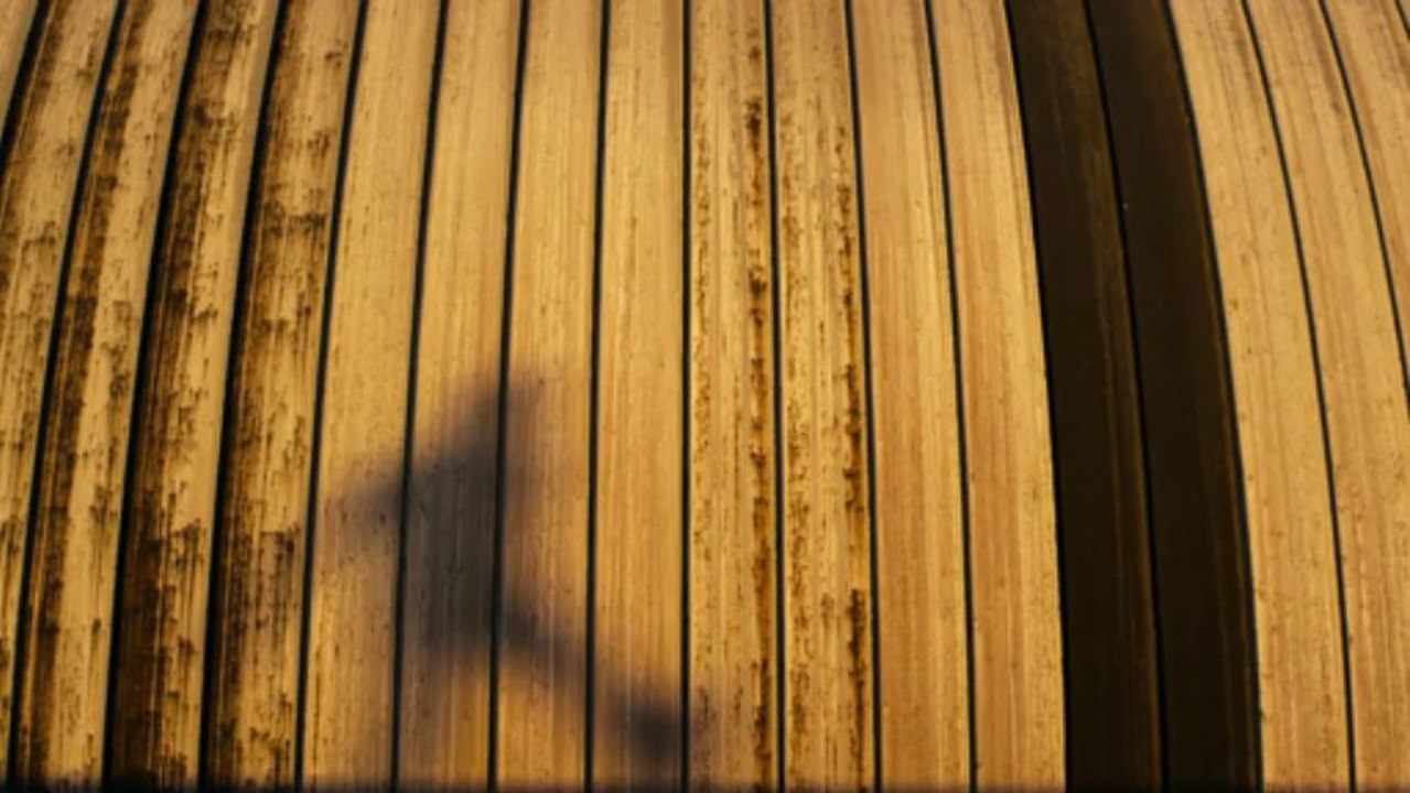 NATURALLY FULL MOVIE POSTED FOR 24 HOURS ONLY!