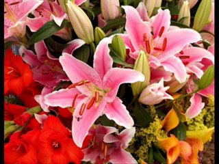 DEUTERONOMIO CAP 15 - A BIBLIA NA LINGUAGEM DE HOJE