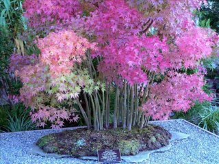 DEUTERONOMIO CAP 19 - A BIBLIA NA LINGUAGEM DE HOJE