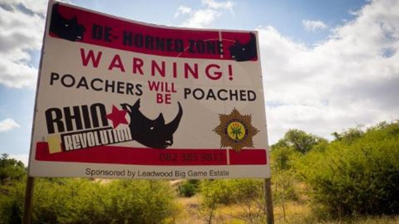 Wildlife Warzone - Only The Best