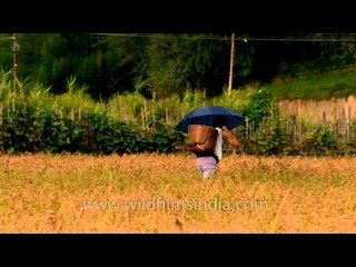 Apatani women: Modern yet traditional perspectives