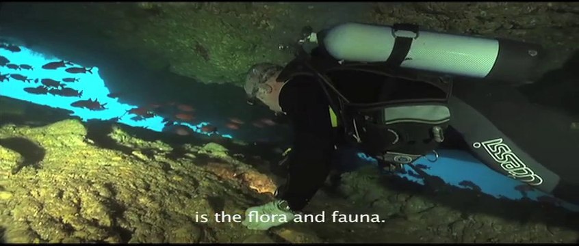 Marquises (sous-titré en anglais)