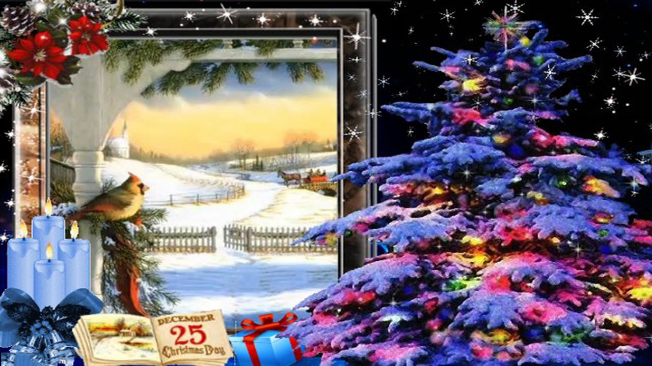 Christmas island ☃