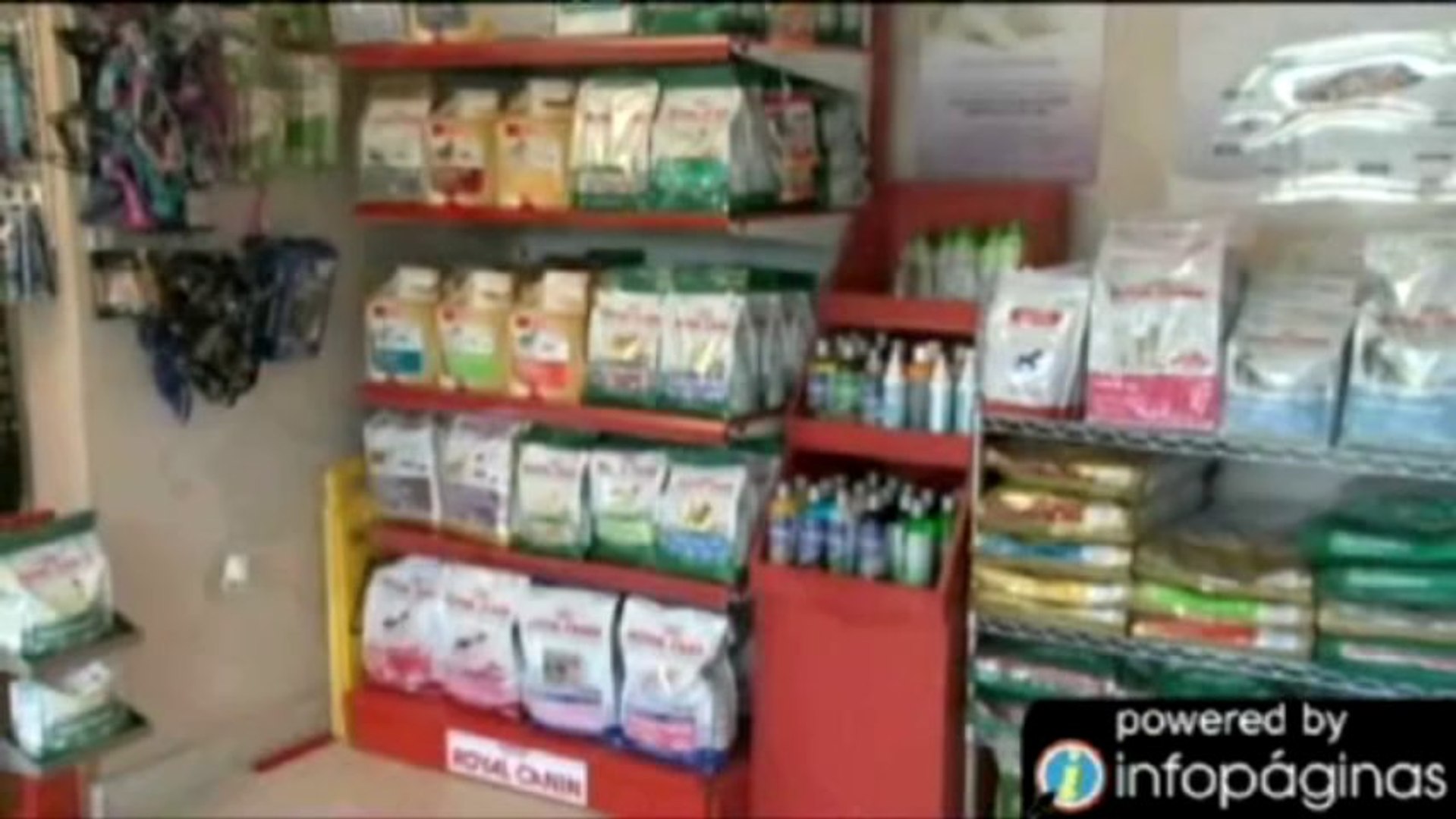 ⁣Paseos Veterinary Center | Veterinario San Juan