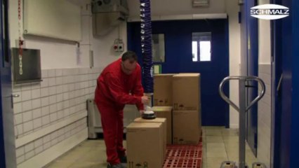 SCHMALZ Karton Kutu Taşıma JumboFlex