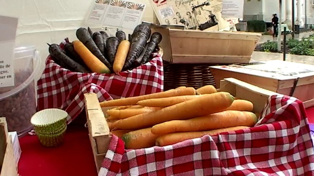 La Semaine du Goût à Vincennes, événement culinaire au verger du château rue du midi.