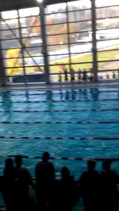 50 DELFIN AWF KATOWICE