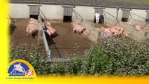 L'environnement du Porc Fermier de la Sarthe