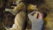 Lion Hug : This guy plays with lions.