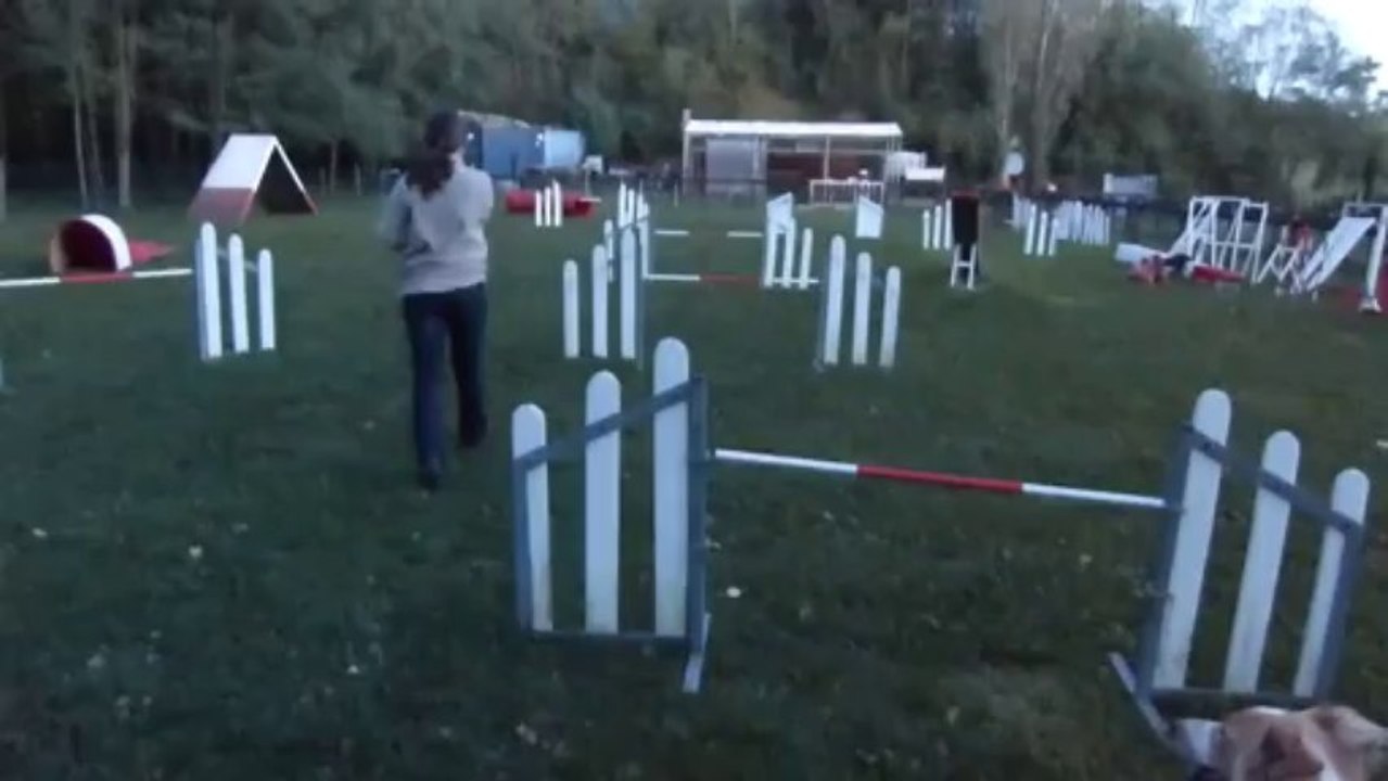 Baïla et Mathilde - Agility