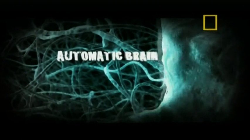 Cérebro Automático