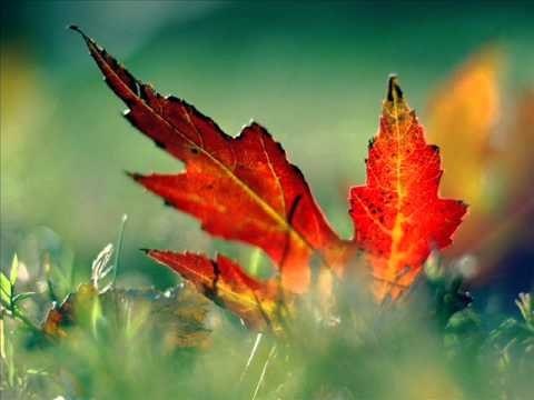 Ümmüşen - Gönül geçmiyor