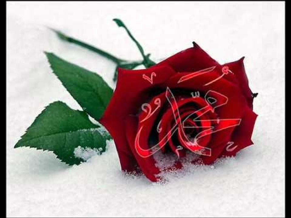 D. Ali Erzincanlı - Sen gidince