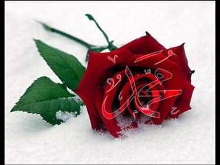 D. Ali Erzincanlı - Sen gidince