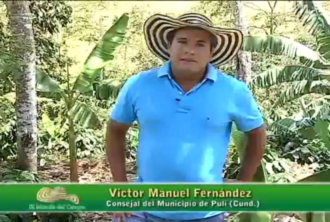 10 de octubre Puli 1