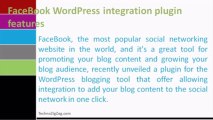 Facebook WordPress integration plugin features