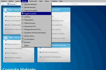 cabinet comptable -  saisie recettes depenses sur ciel compta libérale.
