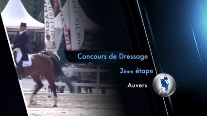DRESSAGE -  Auvers 2013