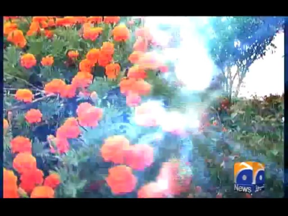 Pakistan Idol Kashmir