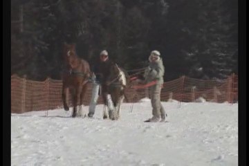 Animation Ski Jöring par Le Pied à l'Etrier