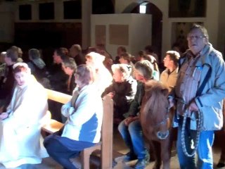 Bénédiction animaux