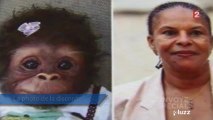 Taubira comparée à un singe par une candidate FN