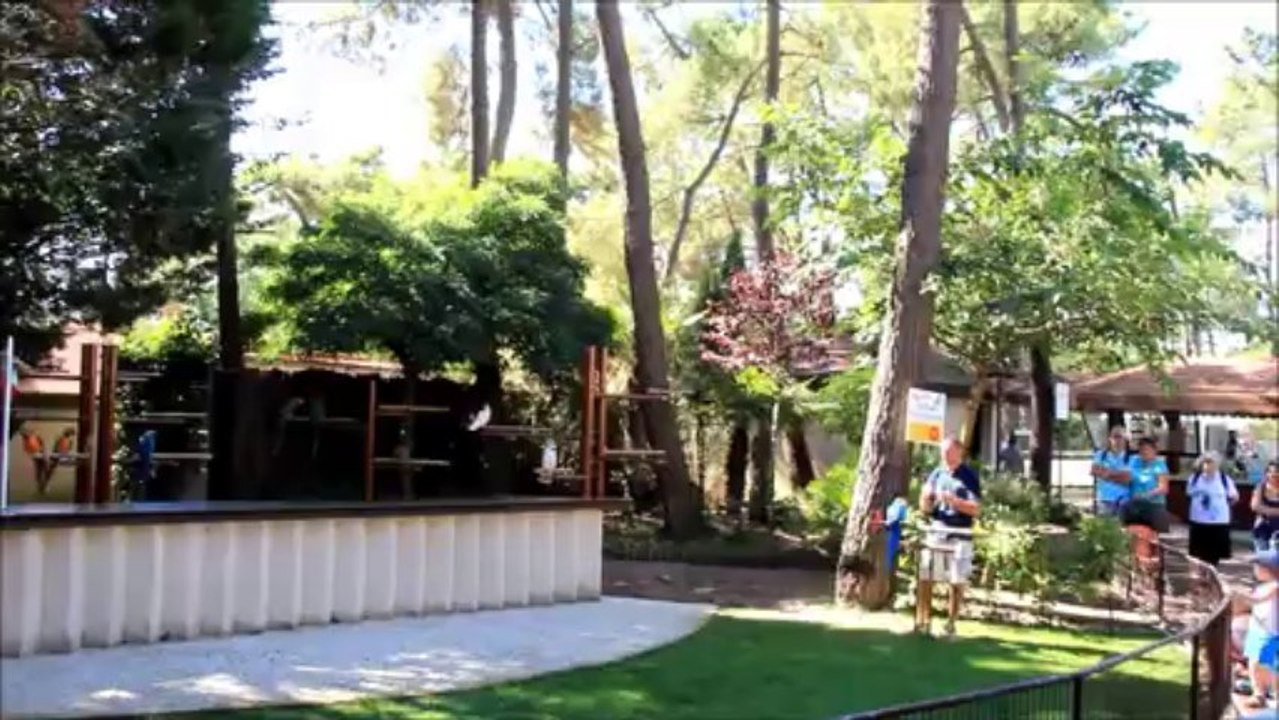 Zoo de La Palmyre 2013