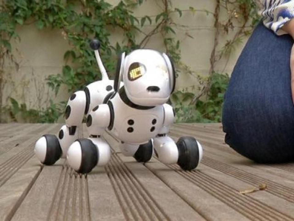 Salon Kidexpo: le paradis du jouet ouvre ses portes à Paris - 18/10