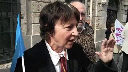 "On nous vole nos enfants" Manif pour tous à Montpellier