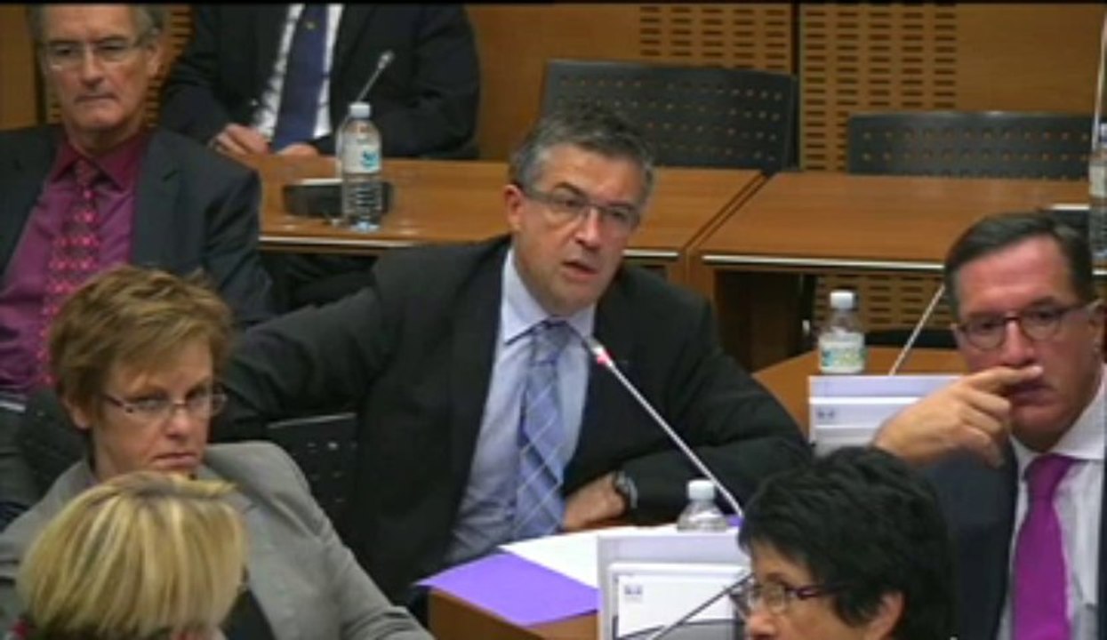 15 octobre 2013, Commission de développement durable : audition de M.Eric Delzant, délégué interministériel à l'aménagement du territoire : Bertrand Pancher alerte sur les dangers qui pèsent sur les Zones de Revitalisation Rurale