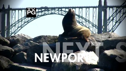 ✈Newport ►Vacation Travel Guide