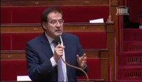 Pierre Alain Muet amendement pour réduire la TVA sur l'importation des oeuvres d'art- budget 2014-  131018