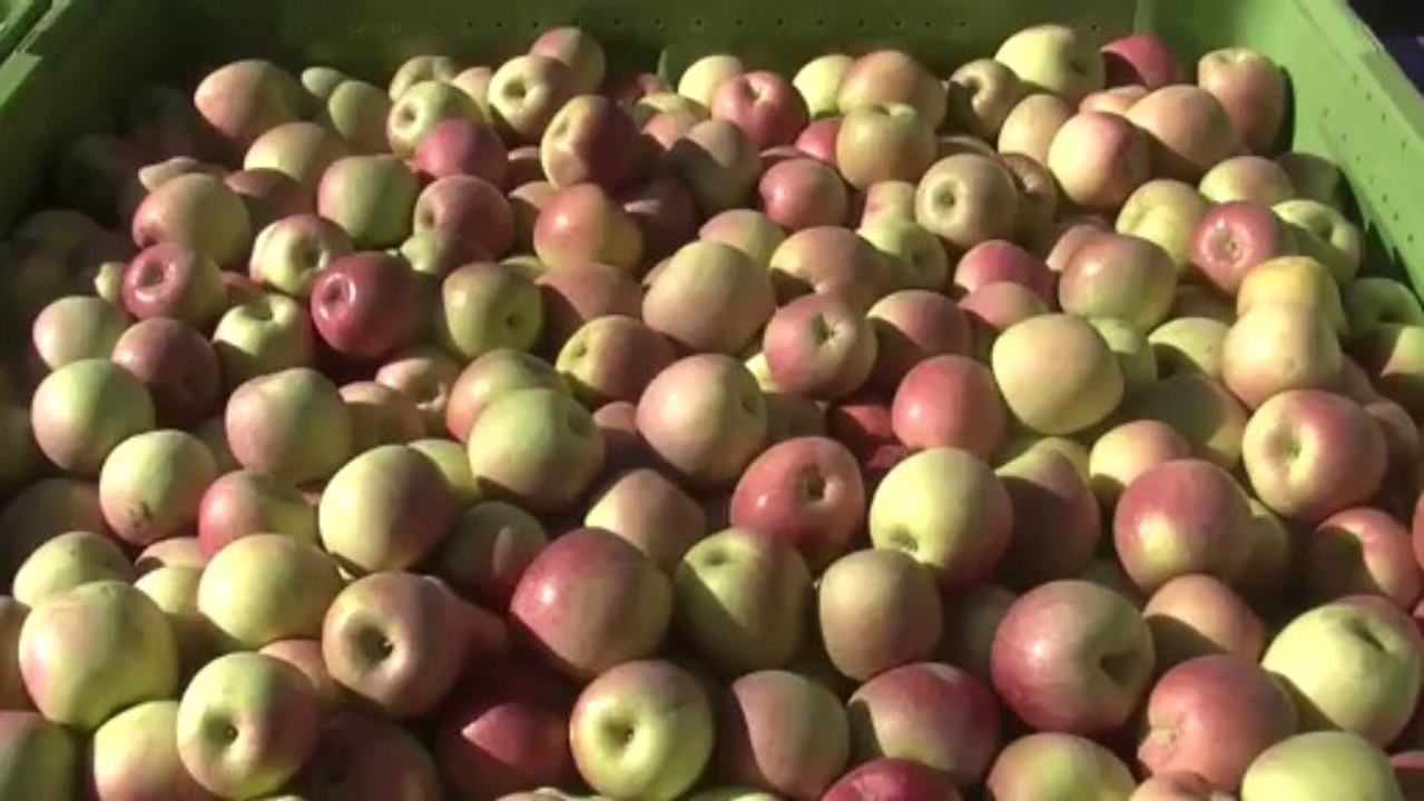 Des pommes, du riz et du vin au menu de la 16e foire d'Aigues Vives.