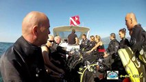 Noi Sub:immersione a Torri del Benaco (Lago di Garda) 14/09/2013