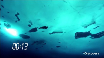 Record du monde d'apnée dans un lac gelé au Groenland.