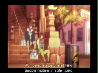 Provino Makoto Bambino - Free!