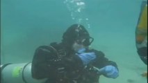 World record longest warm water scuba dive as it happened