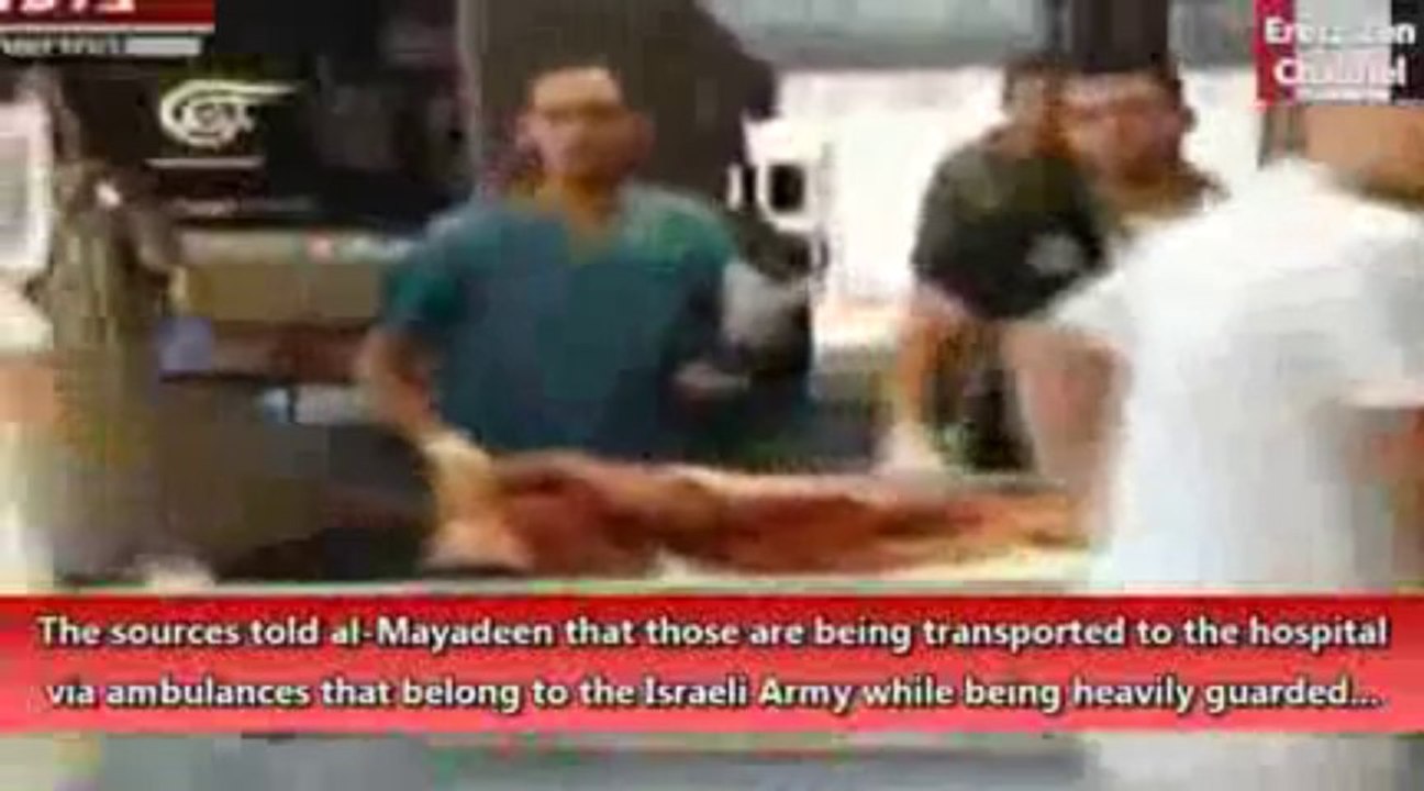 Israel treats wounded al-Qaeda militants and Syrian Christians immigrate to Europe [al-Mayadeen @ EretzZen]