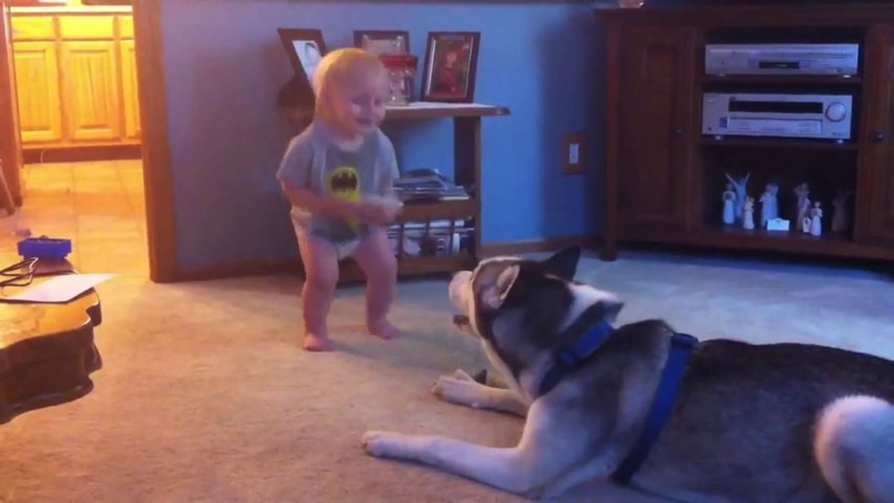 Un bébé et un chien se parlent et jouent. Trop mignon!