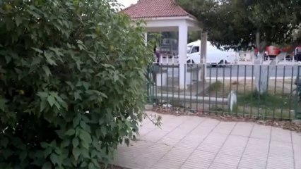Reda grir-DéFise by RED de SFR.FR // SKATE Amateur