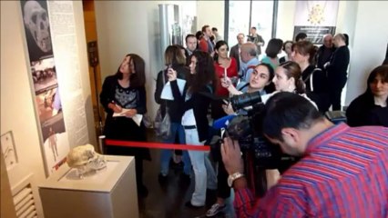 Découverte d'un crâne vieux de 1,8 million d'années