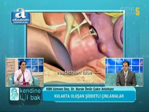 Kendine iyi bak - Kulak çınlaması, sebepleri ve tedavi yöntemleri