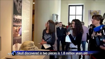 Georgia displays skull that could rewrite human evolution