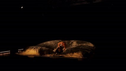 Les Balançoires , Trilogie de l'intime / chapitre DEUX - EXTRAITS