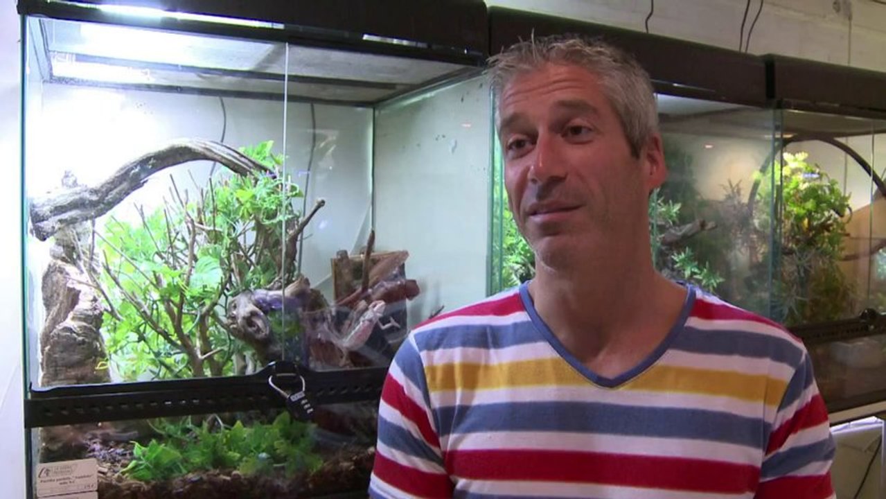 Les Français fans de serpents,lézards,caméléons]